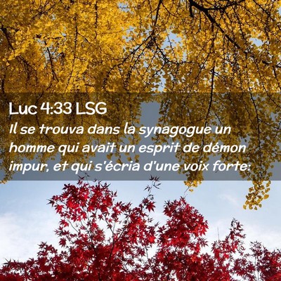 Picture 02 - Luc 4:33 LSG - Il se trouva dans la synagogue un homme qui avait - Bible Verse Picture