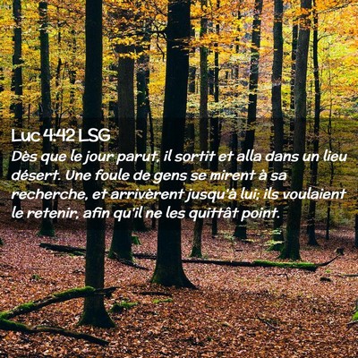 Picture 02 - Luc 4:42 LSG - Dès que le jour parut, il sortit et alla dans un - Bible Verse Picture