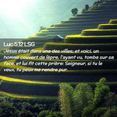 Picture 02 - Luc 5:12 LSG - Jésus était dans une des villes; et voici, un - Bible Verse Picture