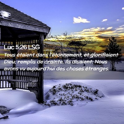 Picture 02 - Luc 5:26 LSG - Tous étaient dans l'étonnement, et glorifiaient - Bible Verse Picture