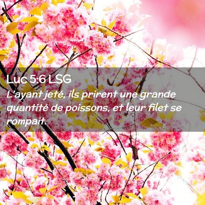 Picture 02 - Luc 5:6 LSG - L'ayant jeté, ils prirent une grande quantité - Bible Verse Picture