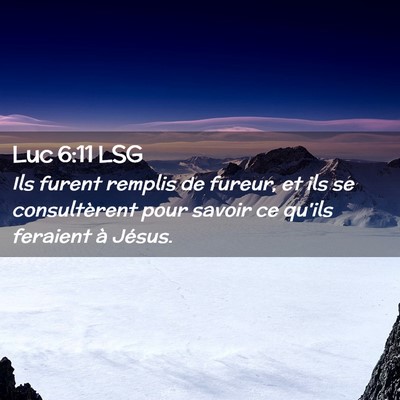 Picture 02 - Luc 6:11 LSG - Ils furent remplis de fureur, et ils se - Bible Verse Picture