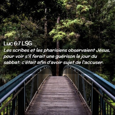 Picture 02 - Luc 6:7 LSG - Les scribes et les pharisiens observaient Jésus, - Bible Verse Picture