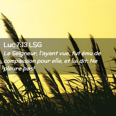 Picture 02 - Luc 7:13 LSG - Le Seigneur, l'ayant vue, fut ému de compassion - Bible Verse Picture