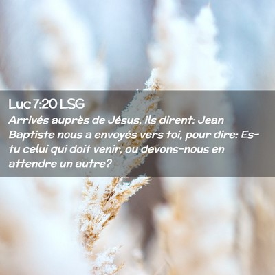 Picture 02 - Luc 7:20 LSG - Arrivés auprès de Jésus, ils dirent: Jean - Bible Verse Picture