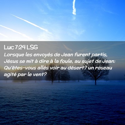 Picture 02 - Luc 7:24 LSG - Lorsque les envoyés de Jean furent partis, - Bible Verse Picture