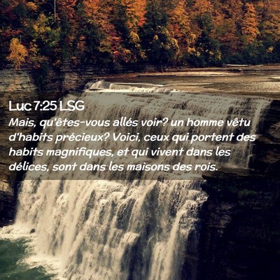 Picture 02 - Luc 7:25 LSG - Mais, qu'êtes-vous allés voir? un homme vêtu - Bible Verse Picture