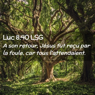 Picture 02 - Luc 8:40 LSG - A son retour, Jésus fut reçu par la foule, car - Bible Verse Picture