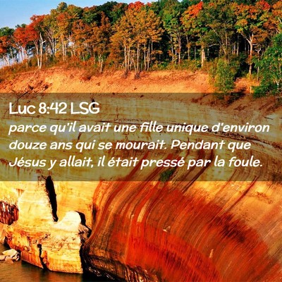 Picture 02 - Luc 8:42 LSG - parce qu'il avait une fille unique d'environ - Bible Verse Picture