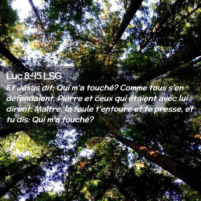 Picture 02 - Luc 8:45 LSG - Et Jésus dit: Qui m'a touché? Comme tous s'en - Bible Verse Picture