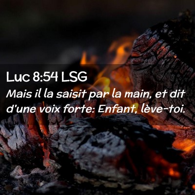 Picture 02 - Luc 8:54 LSG - Mais il la saisit par la main, et dit d'une voix - Bible Verse Picture
