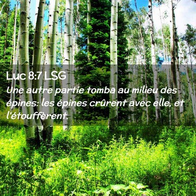 Picture 02 - Luc 8:7 LSG - Une autre partie tomba au milieu des épines: les - Bible Verse Picture