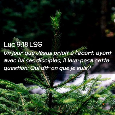 Picture 02 - Luc 9:18 LSG - Un jour que Jésus priait à l'écart, ayant avec - Bible Verse Picture
