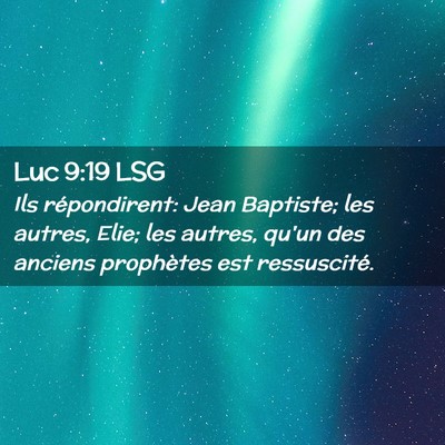 Picture 02 - Luc 9:19 LSG - Ils répondirent: Jean Baptiste; les autres, - Bible Verse Picture