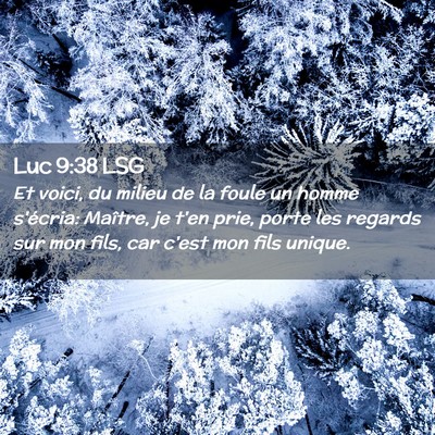 Picture 02 - Luc 9:38 LSG - Et voici, du milieu de la foule un homme - Bible Verse Picture