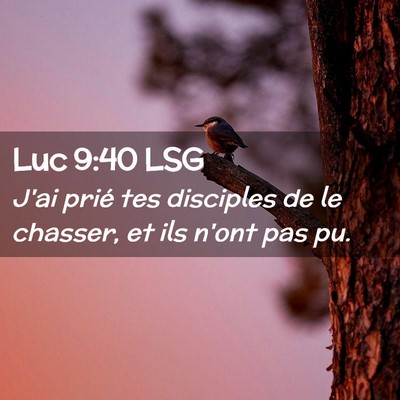 Picture 02 - Luc 9:40 LSG - J'ai prié tes disciples de le chasser, et ils - Bible Verse Picture