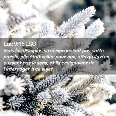Picture 02 - Luc 9:45 LSG - Mais les disciples ne comprenaient pas cette - Bible Verse Picture