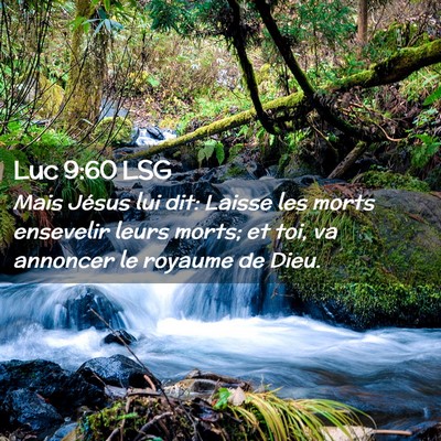 Picture 02 - Luc 9:60 LSG - Mais Jésus lui dit: Laisse les morts ensevelir - Bible Verse Picture