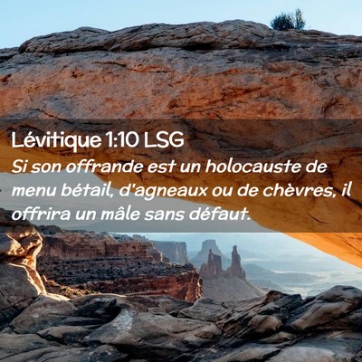 Picture 02 - Lévitique 1:10 LSG - Si son offrande est un holocauste de menu - Bible Verse Picture