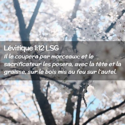 Picture 02 - Lévitique 1:12 LSG - Il le coupera par morceaux; et le sacrificateur - Bible Verse Picture