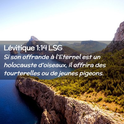 Picture 02 - Lévitique 1:14 LSG - Si son offrande à l'Eternel est un holocauste - Bible Verse Picture