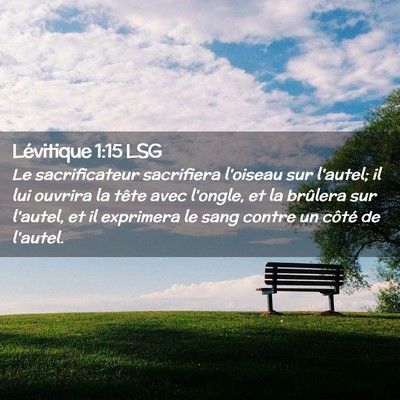 Picture 02 - Lévitique 1:15 LSG - Le sacrificateur sacrifiera l'oiseau sur l'autel; - Bible Verse Picture
