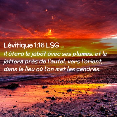 Picture 02 - Lévitique 1:16 LSG - Il ôtera le jabot avec ses plumes, et le jettera - Bible Verse Picture