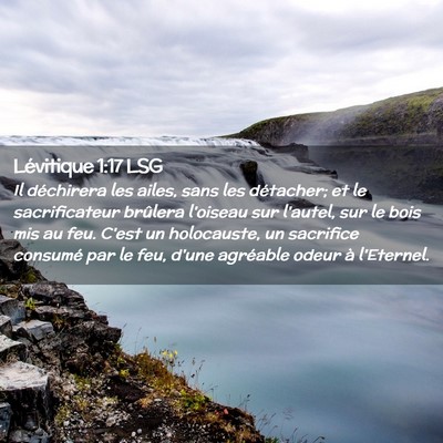 Picture 02 - Lévitique 1:17 LSG - Il déchirera les ailes, sans les détacher; et - Bible Verse Picture