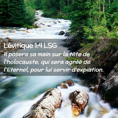 Picture 02 - Lévitique 1:4 LSG - Il posera sa main sur la tête de l'holocauste, - Bible Verse Picture