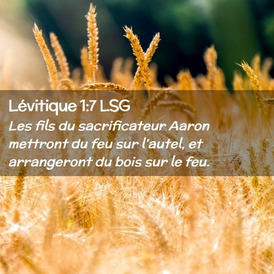 Picture 02 - Lévitique 1:7 LSG - Les fils du sacrificateur Aaron mettront du feu - Bible Verse Picture