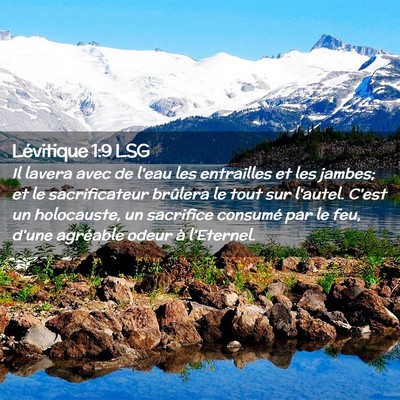Picture 02 - Lévitique 1:9 LSG - Il lavera avec de l'eau les entrailles et les - Bible Verse Picture