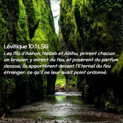 Picture 02 - Lévitique 10:1 LSG - Les fils d'Aaron, Nadab et Abihu, prirent chacun - Bible Verse Picture