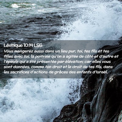 Picture 02 - Lévitique 10:14 LSG - Vous mangerez aussi dans un lieu pur, toi, tes - Bible Verse Picture