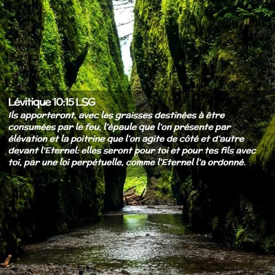 Picture 02 - Lévitique 10:15 LSG - Ils apporteront, avec les graisses destinées à - Bible Verse Picture