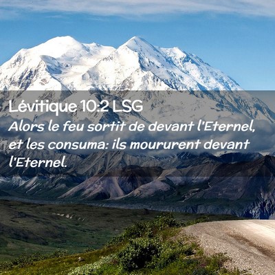 Picture 02 - Lévitique 10:2 LSG - Alors le feu sortit de devant l'Eternel, et les - Bible Verse Picture