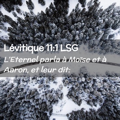 Picture 02 - Lévitique 11:1 LSG - L'Eternel parla à Moïse et à Aaron, et leur - Bible Verse Picture