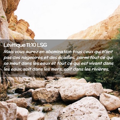 Picture 02 - Lévitique 11:10 LSG - Mais vous aurez en abomination tous ceux qui - Bible Verse Picture