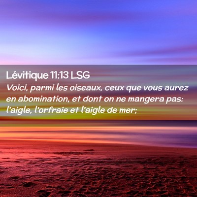 Picture 02 - Lévitique 11:13 LSG - Voici, parmi les oiseaux, ceux que vous aurez en - Bible Verse Picture