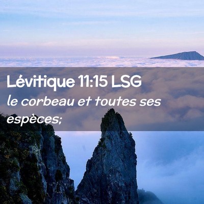 Picture 02 - Lévitique 11:15 LSG - le corbeau et toutes ses - Bible Verse Picture