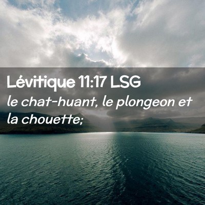 Picture 02 - Lévitique 11:17 LSG - le chat-huant, le plongeon et la - Bible Verse Picture