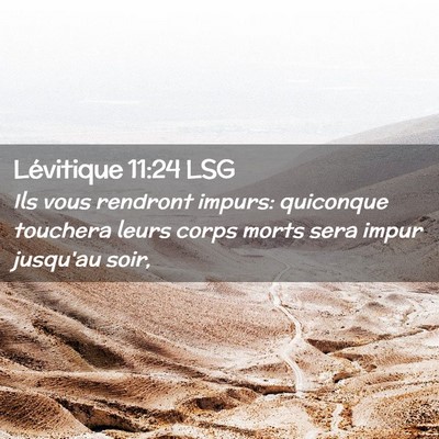 Picture 02 - Lévitique 11:24 LSG - Ils vous rendront impurs: quiconque touchera - Bible Verse Picture
