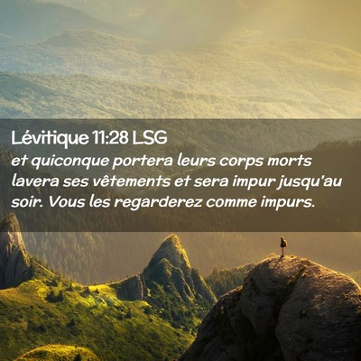 Picture 02 - Lévitique 11:28 LSG - et quiconque portera leurs corps morts lavera ses - Bible Verse Picture
