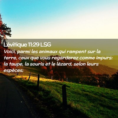 Picture 02 - Lévitique 11:29 LSG - Voici, parmi les animaux qui rampent sur la - Bible Verse Picture