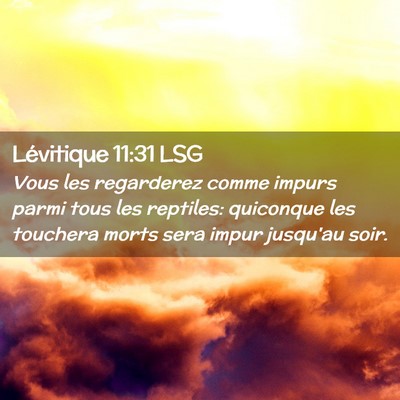 Picture 02 - Lévitique 11:31 LSG - Vous les regarderez comme impurs parmi tous les - Bible Verse Picture