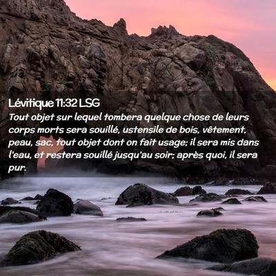 Picture 02 - Lévitique 11:32 LSG - Tout objet sur lequel tombera quelque chose de - Bible Verse Picture