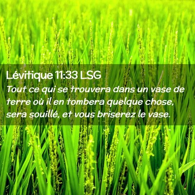 Picture 02 - Lévitique 11:33 LSG - Tout ce qui se trouvera dans un vase de terre où - Bible Verse Picture