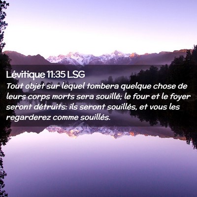 Picture 02 - Lévitique 11:35 LSG - Tout objet sur lequel tombera quelque chose de - Bible Verse Picture