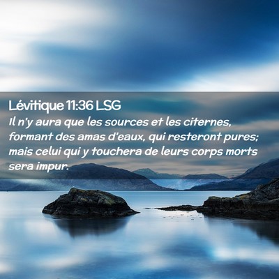 Picture 02 - Lévitique 11:36 LSG - Il n'y aura que les sources et les citernes, - Bible Verse Picture