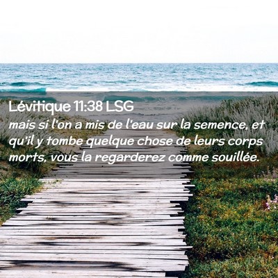 Picture 02 - Lévitique 11:38 LSG - mais si l'on a mis de l'eau sur la semence, et - Bible Verse Picture