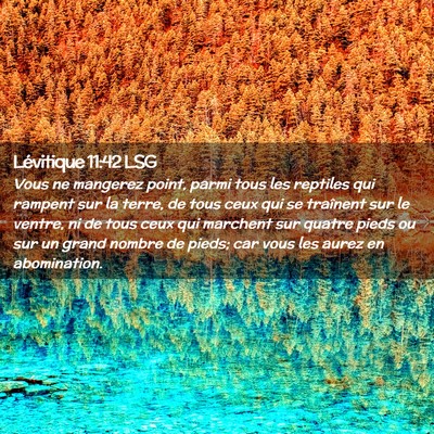 Picture 02 - Lévitique 11:42 LSG - Vous ne mangerez point, parmi tous les reptiles - Bible Verse Picture